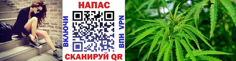 Наркошоп купить Псилоцибиновые грибы  Марихуана  Меф мяу мяу  ГАШИШ  Alpha-PVP  Героин  Амфетамин  Судогда