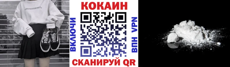 Купить закладки  Судогда  COCAIN Fish Scale 