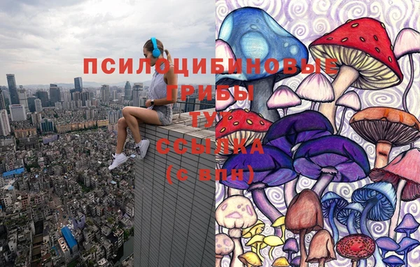 jwh Инсар
