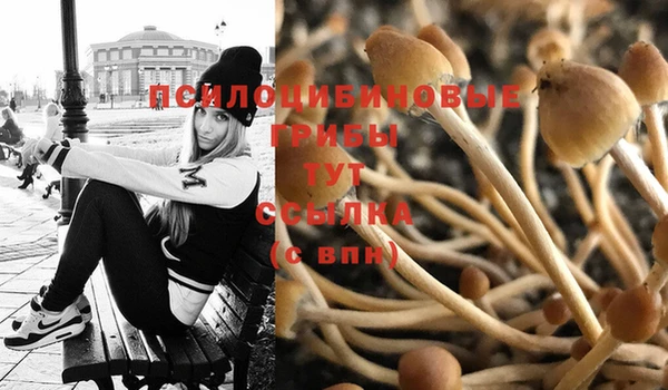 jwh Инсар