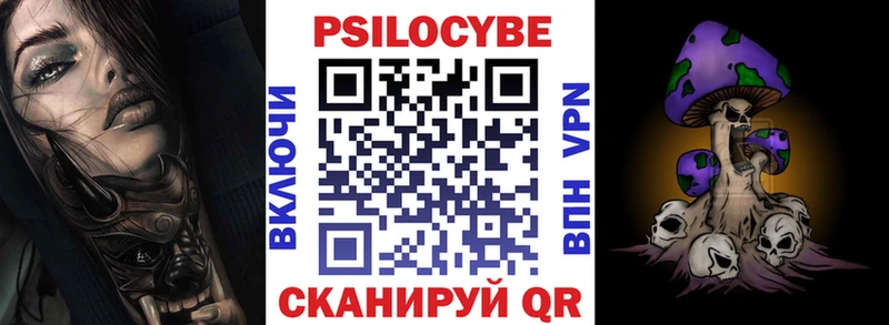Псилоцибиновые грибы Psilocybine cubensis  Купить где  Судогда 